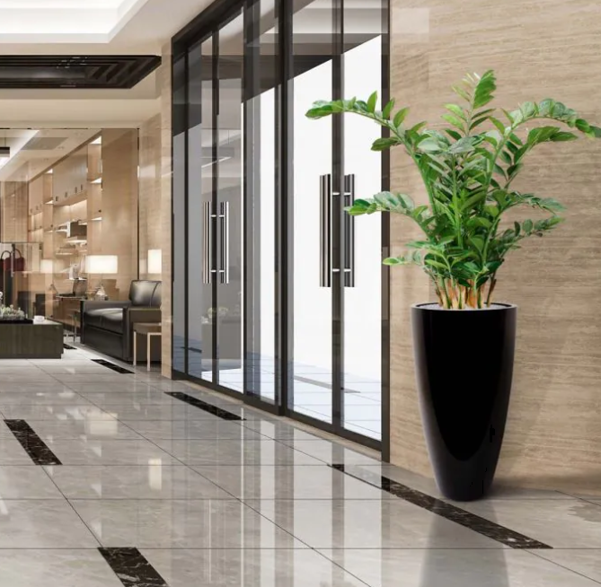 Zamioculcas | Kunstplant