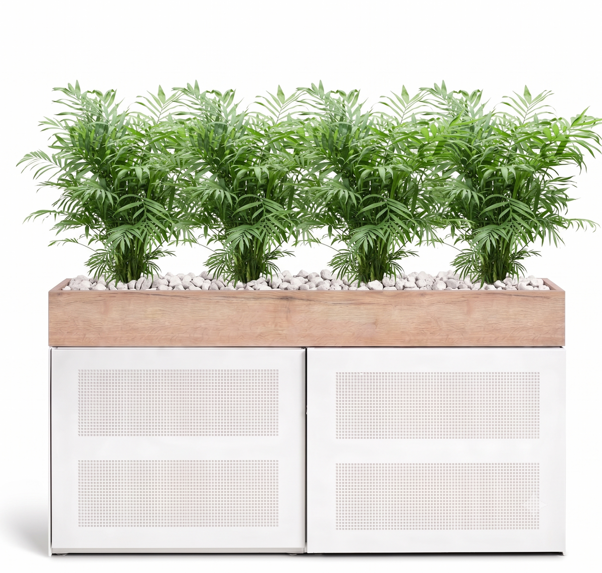 Kastpakket Palm Elegance - Vulkastrat