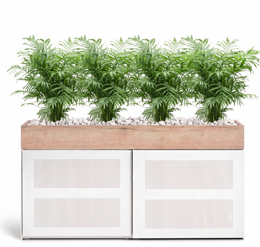 Kastpakket Palm Elegance - Vulkastrat