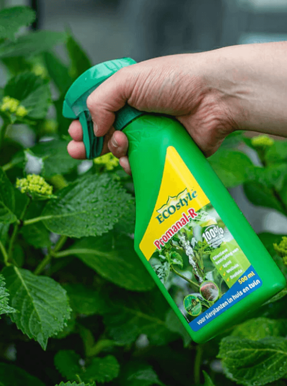 Bladluis, Wolluis en Dopluis bestrijding Direct Use 500ml