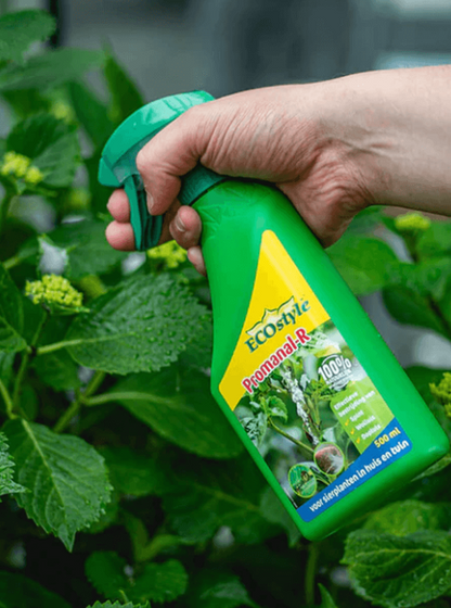 Bladluis, Wolluis en Dopluis bestrijding Direct Use 500ml