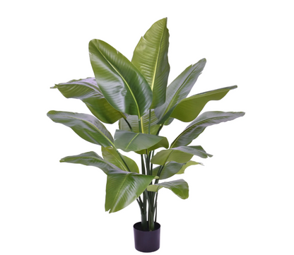 Strelitzia Nicolai | Kunstplant