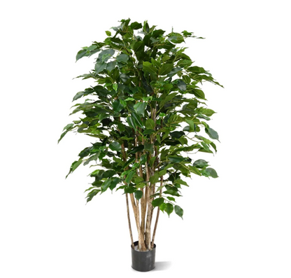 Ficus Exotica Groen | Kunstplant