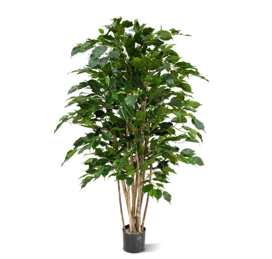 Ficus Exotica Groen | Kunstplant