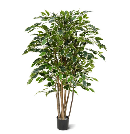 Ficus Exotica Bont | Kunstplant