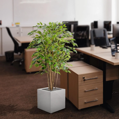 Ficus Exotica Bont | Kunstplant