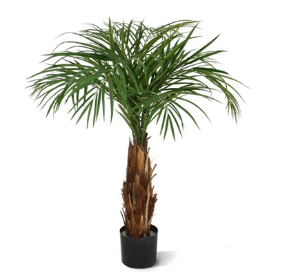 Kunstpalm | Kunstplant