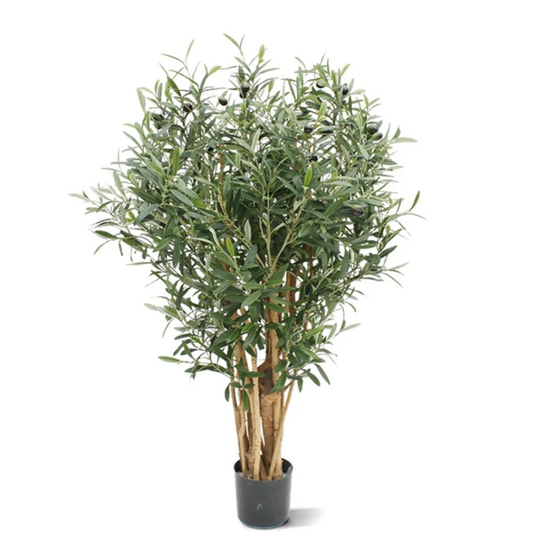 Olijfboom met olijven | Kunstplant