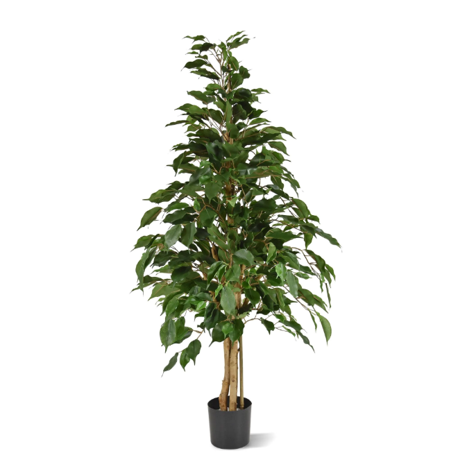 Ficus | Kunstplant
