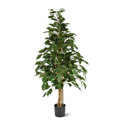 Ficus | Kunstplant