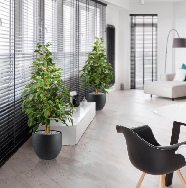Ficus | Kunstplant