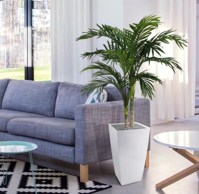 Areca Golden Cane | Kunstplant