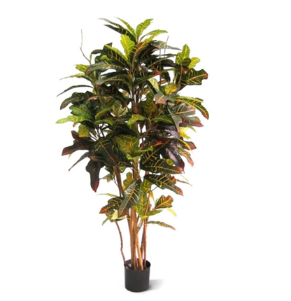 Croton | Kunstplant