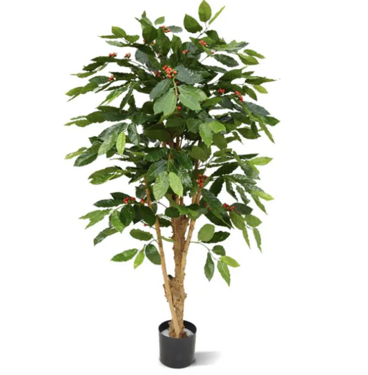 Coffee Arabica | Kunstplant
