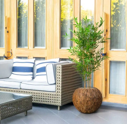 Japanse Bamboo | Kunstplant
