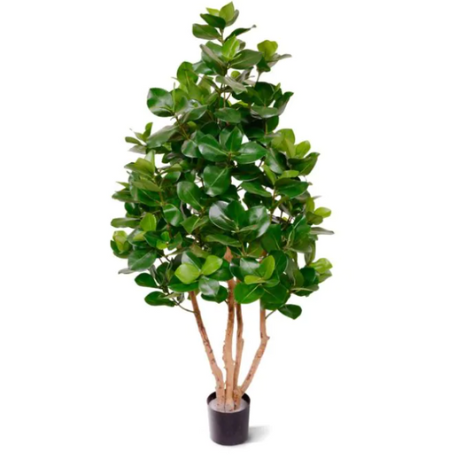 Clusia | Kunstplant