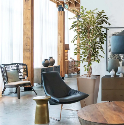 Ficus Hawai | Kunstplant