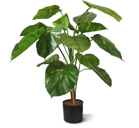 Pothos | Kunstplant
