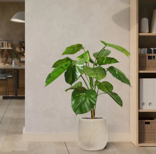 Pothos | Kunstplant