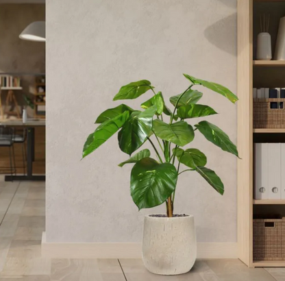 Pothos | Kunstplant