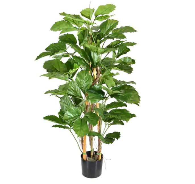 Tetrastigma | Kunstplant