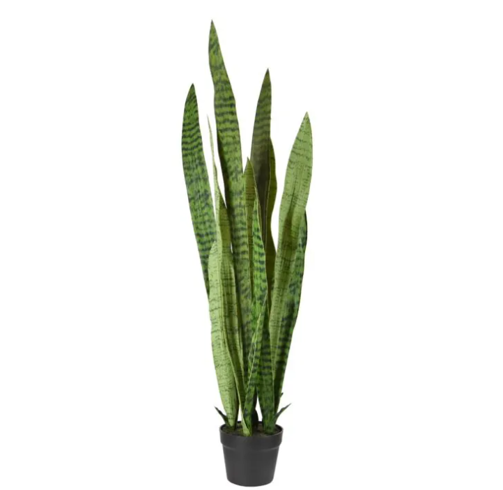 Sanseveria | Kunstplant