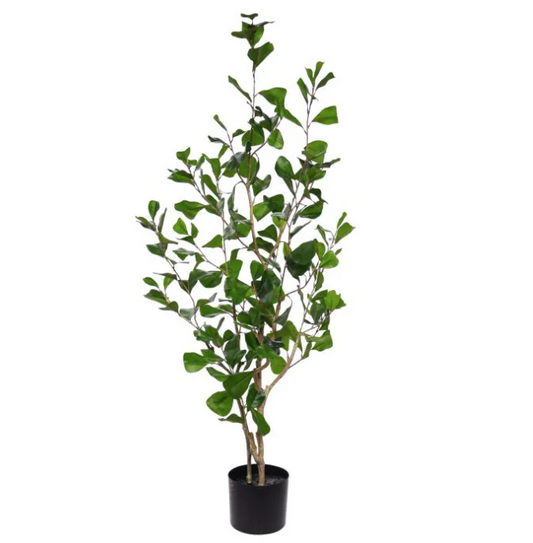 Ficus Triangularis | Kunstplant