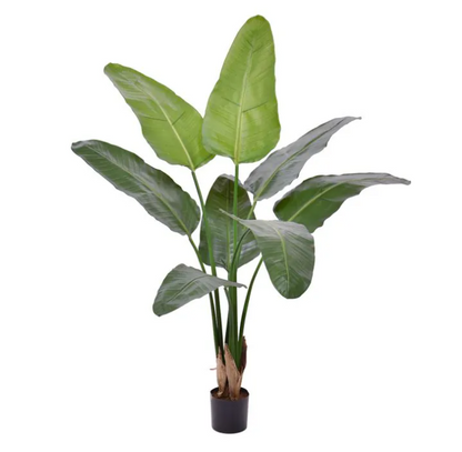 Strelitzia Nicolai | Kunstplant