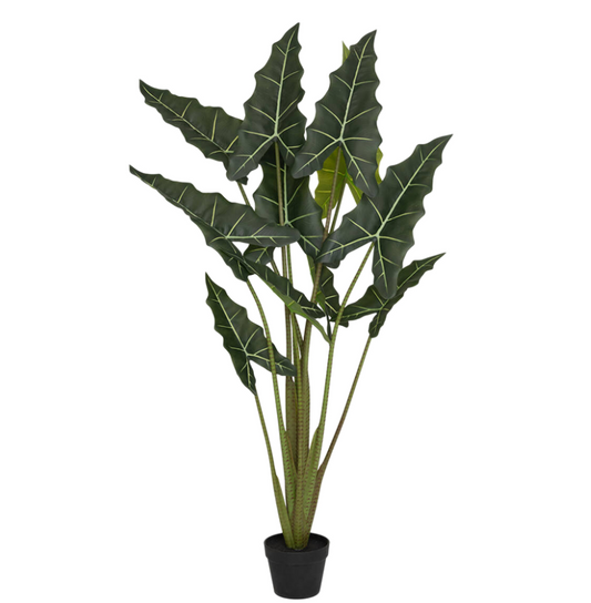 Alocasia | Kunstplant