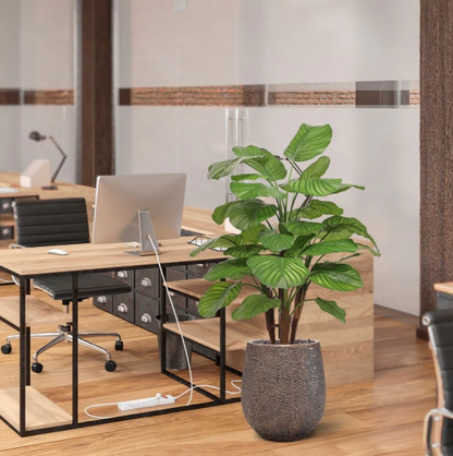 Calathea Fasciata | Kunstplant